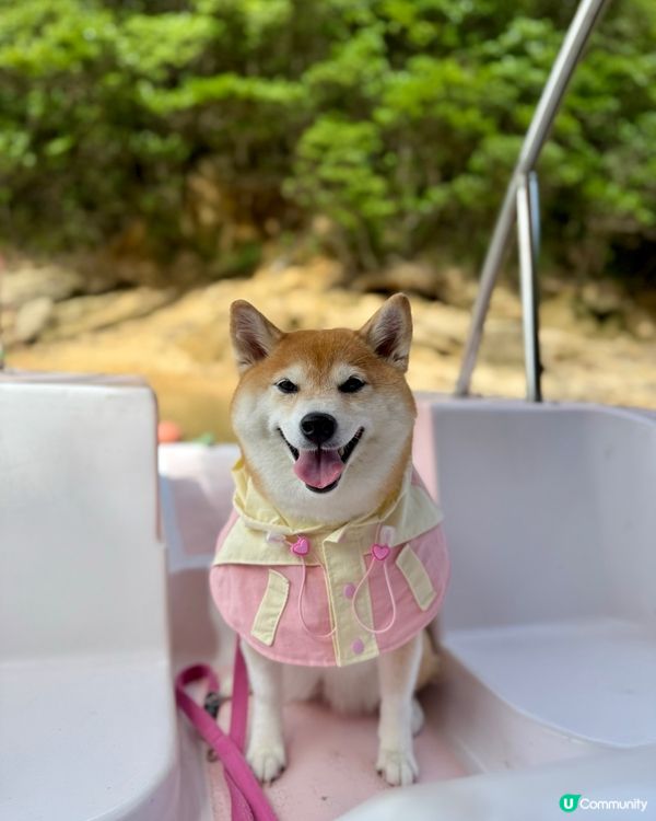 / 帶毛孩踩水上單車 \