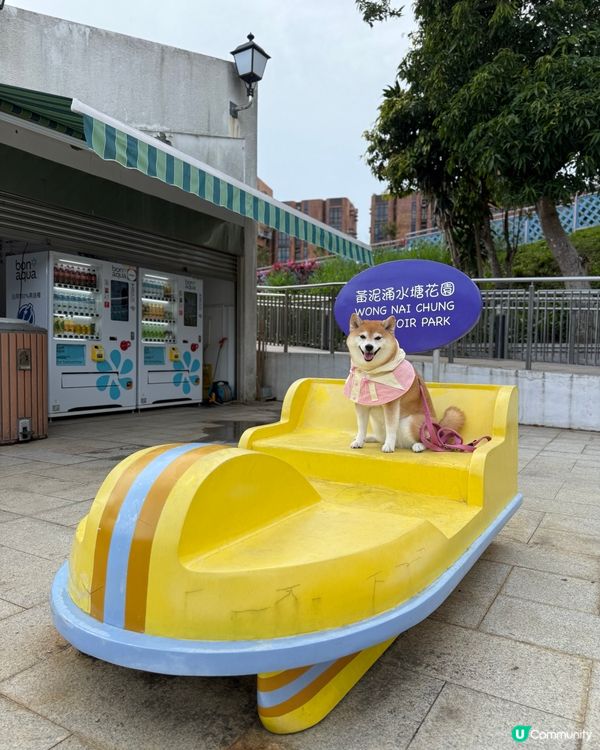 / 帶毛孩踩水上單車 \