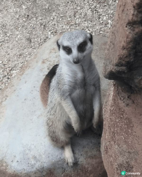 #chill賞同陽光玩遊戲