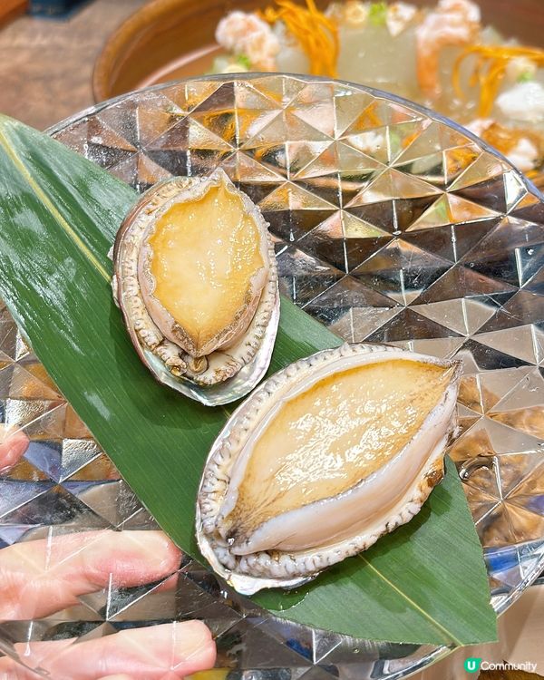 🎏無限時晚市火鍋任食‼️1664生啤無限任飲🍻