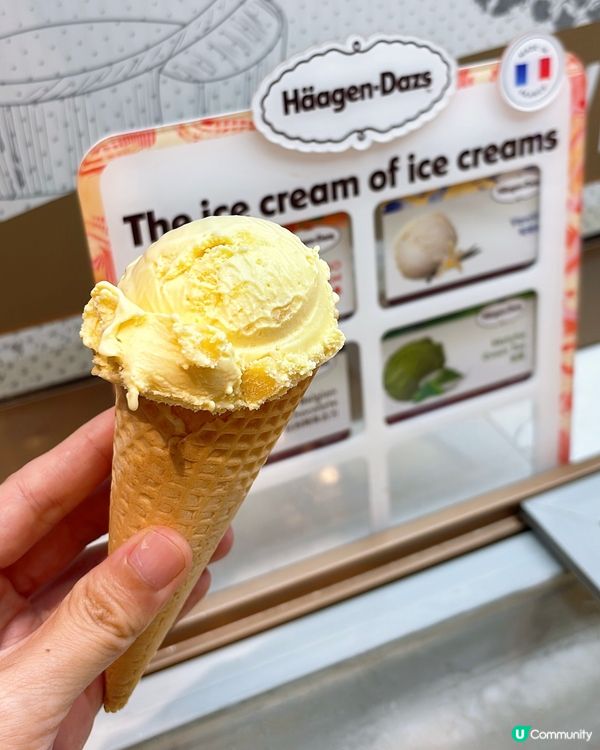 🎏無限時晚市火鍋任食‼️1664生啤無限任飲🍻