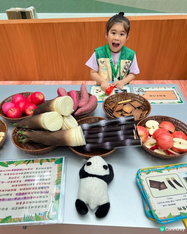 小朋友暑假去邊好？動物護理員體驗🤩！