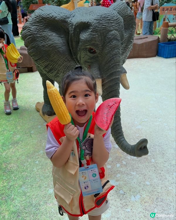 小朋友暑假去邊好？動物護理員體驗🤩！