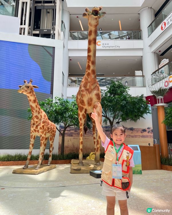 小朋友暑假去邊好？動物護理員體驗🤩！