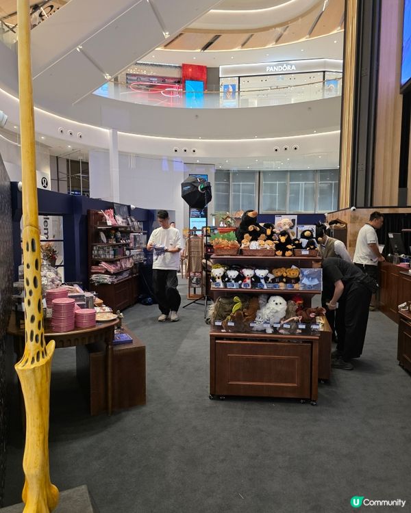 harry potter Mahou dokor精品店好去處