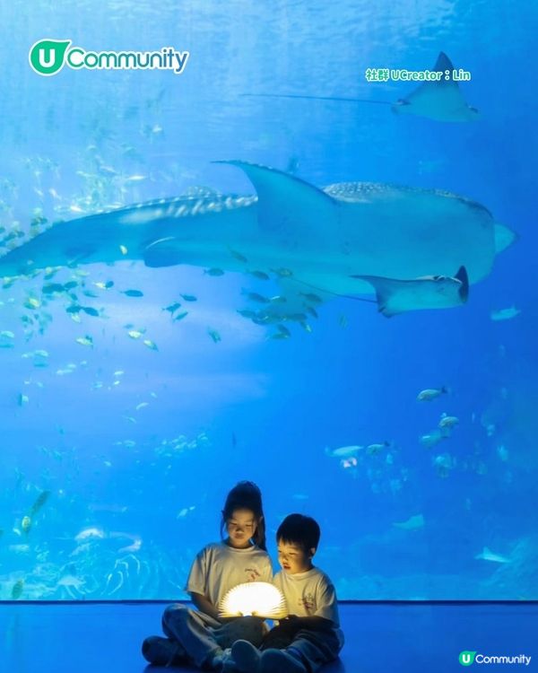 暑假親子遊|珠海長隆海洋王國攻略 必玩設施／鯨鯊館／白鯨劇場／煙花