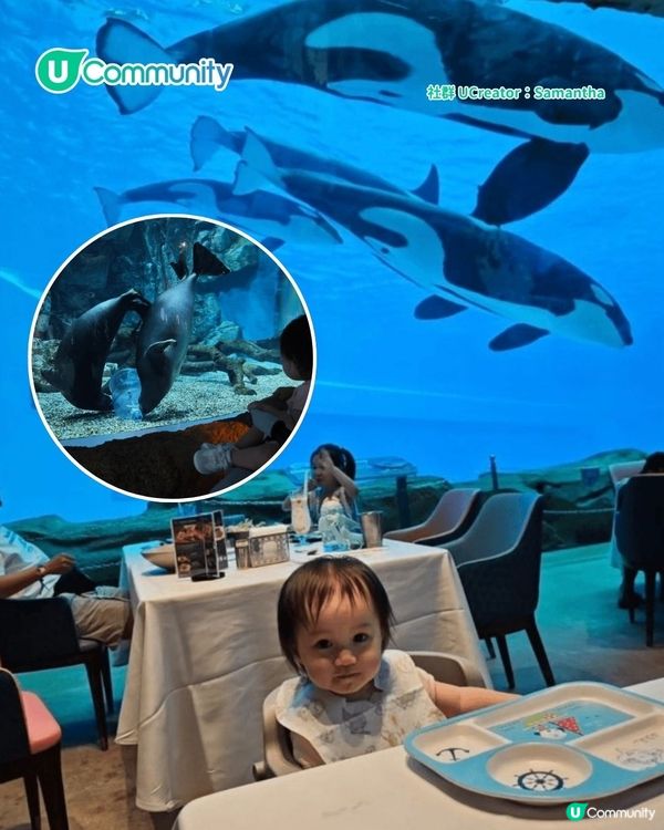 暑假親子遊|珠海長隆海洋王國攻略 必玩設施／鯨鯊館／白鯨劇場／煙花