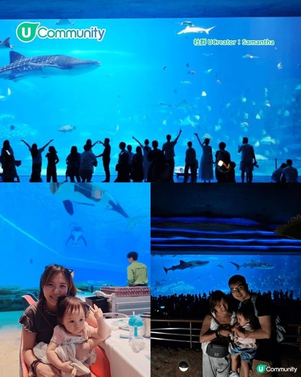 暑假親子遊|珠海長隆海洋王國攻略 必玩設施／鯨鯊館／白鯨劇場／煙花