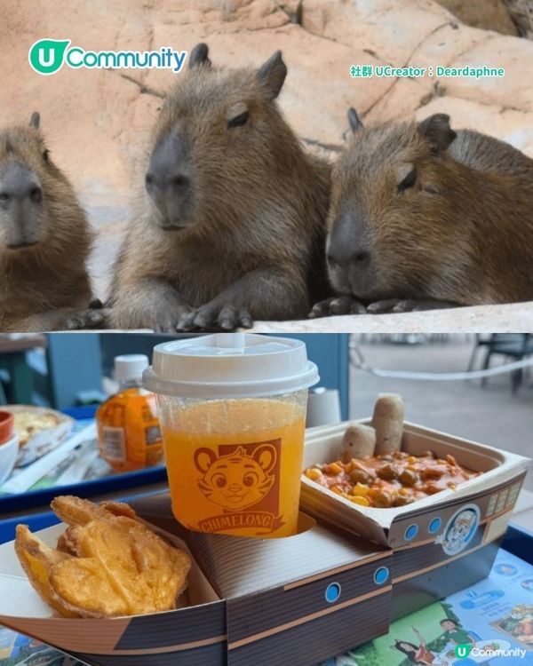 暑假親子遊|珠海長隆海洋王國攻略 必玩設施／鯨鯊館／白鯨劇場／煙花