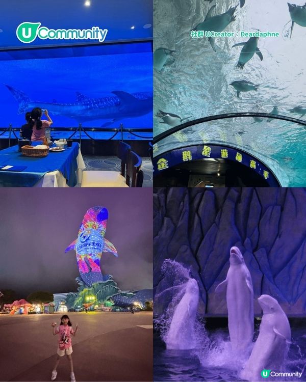 暑假親子遊|珠海長隆海洋王國攻略 必玩設施／鯨鯊館／白鯨劇場／煙花