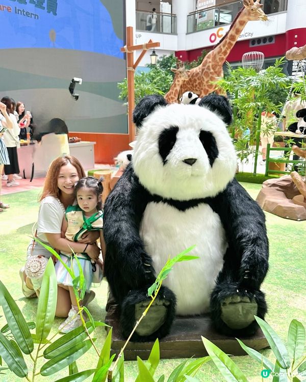 暑假親子必去！「見習動物護理員」沉浸式工作體驗