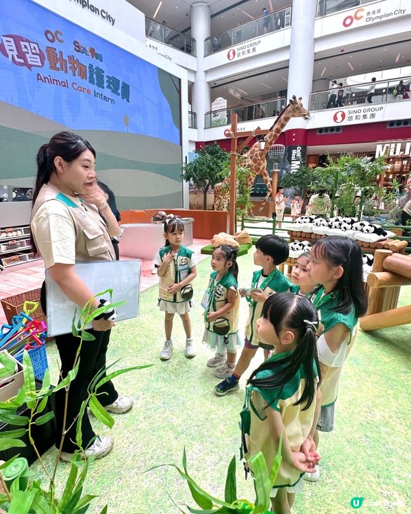 暑假親子必去！「見習動物護理員」沉浸式工作體驗