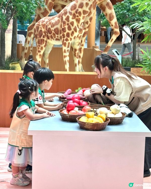 暑假親子必去！「見習動物護理員」沉浸式工作體驗