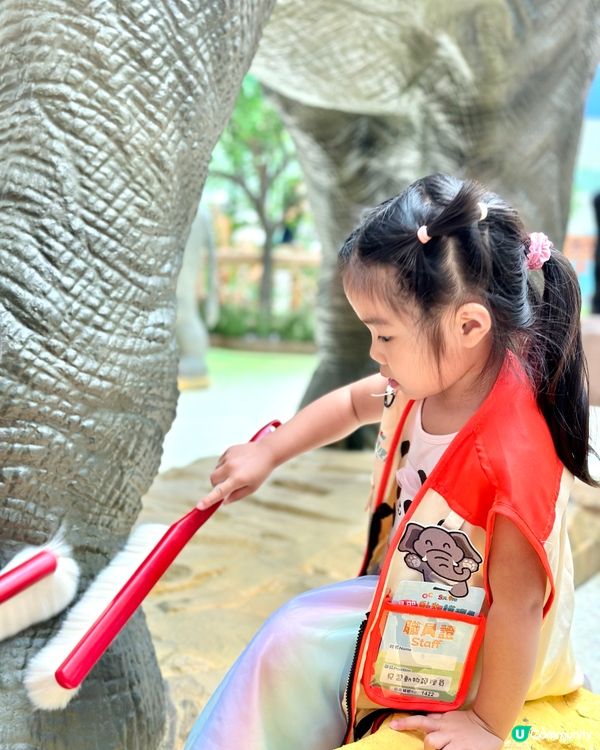 暑假親子必去！「見習動物護理員」沉浸式工作體驗