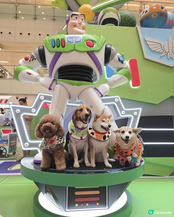 星級萌友🦖齊齊反斗