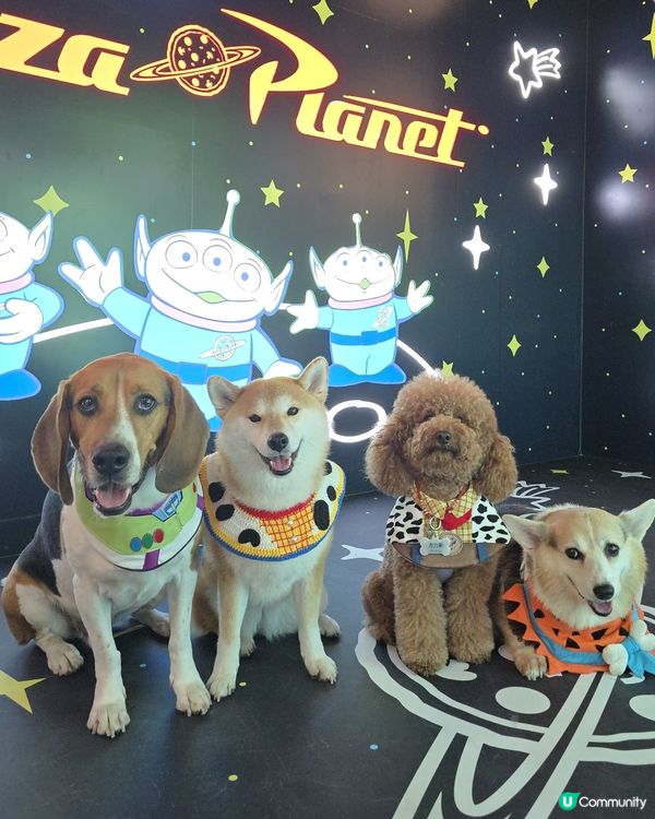 星級萌友🦖齊齊反斗