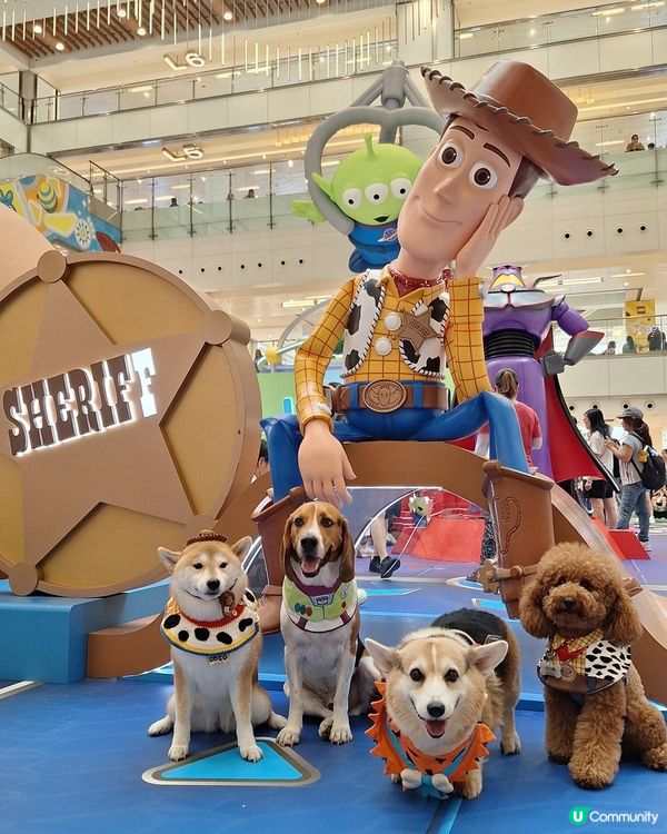 星級萌友🦖齊齊反斗