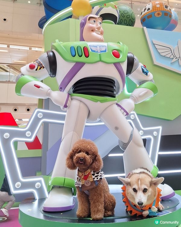 星級萌友🦖齊齊反斗