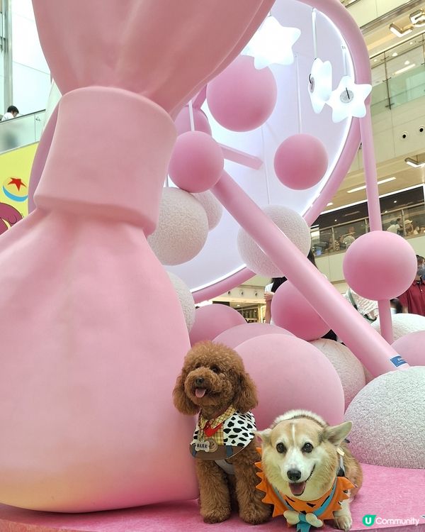 星級萌友🦖齊齊反斗