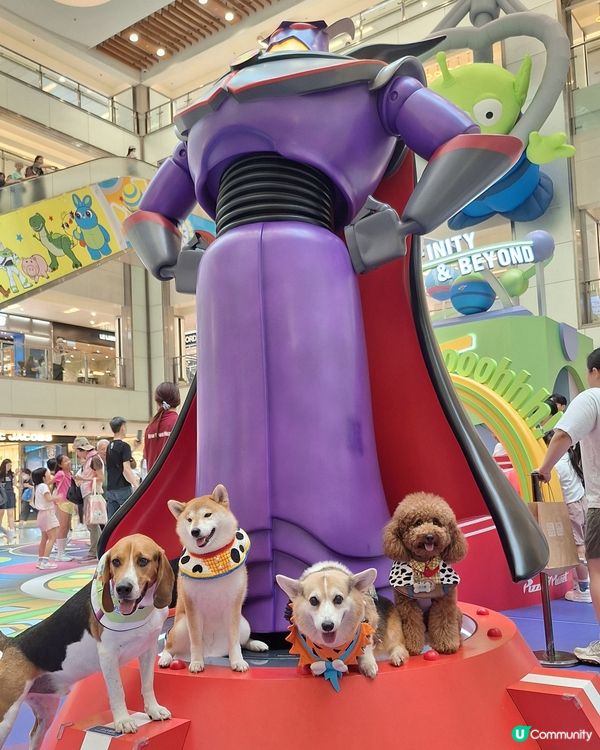 星級萌友🦖齊齊反斗