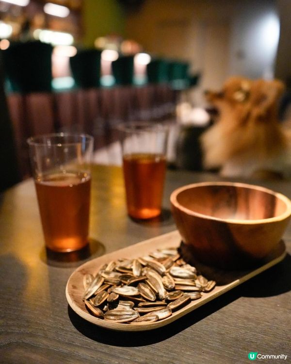 🍸Error404 酒吧｜高雄寵物友善Bar