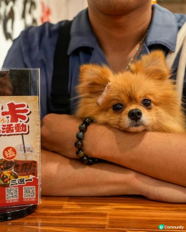 🍲山城飯桌 砂鍋煲