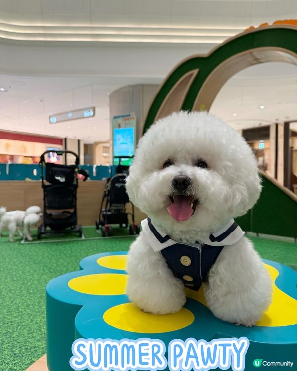 ｢SUMMER PAWTY｣
