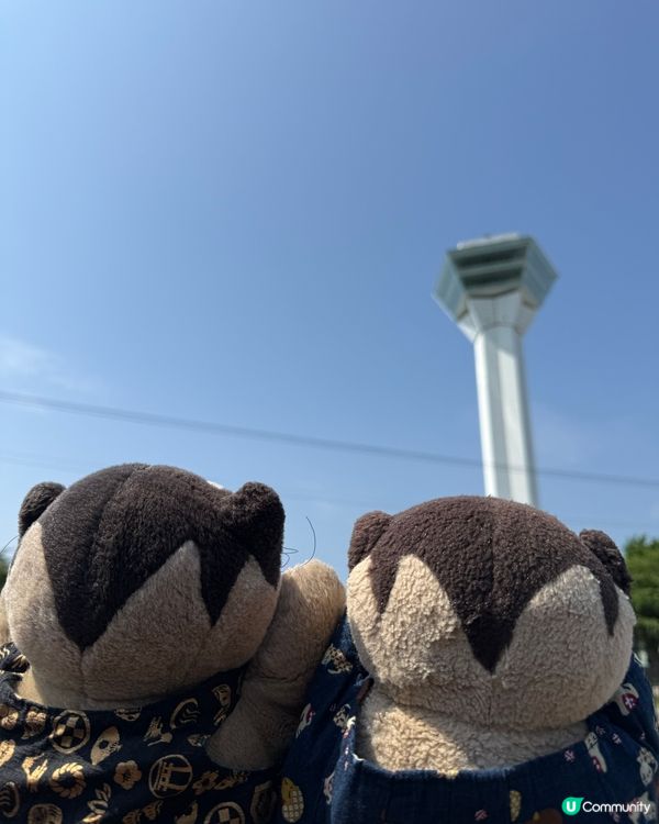 五稜郭公園 北海道🌟