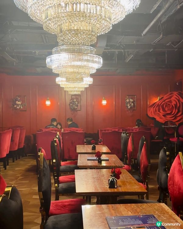 五道菜+任食生蠔！慶生約會首選🥂😋