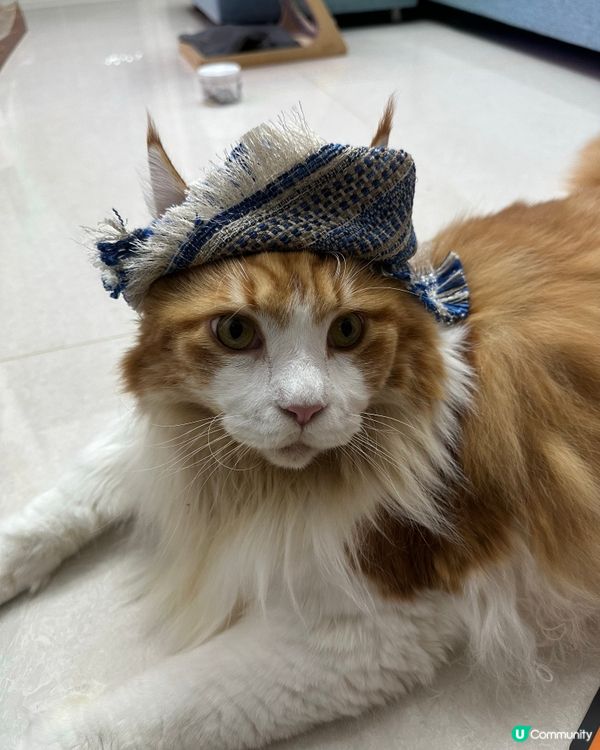 邊個襯衫好啲？🤔 波希米亞風王子？👑 靚爆！