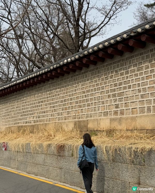 韓國鐘路西巡邏街，文青必去！📸 美美石牆超好拍！🤩