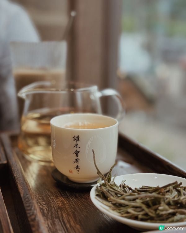 三訪 大圍品茶去｜老去茶事🫖