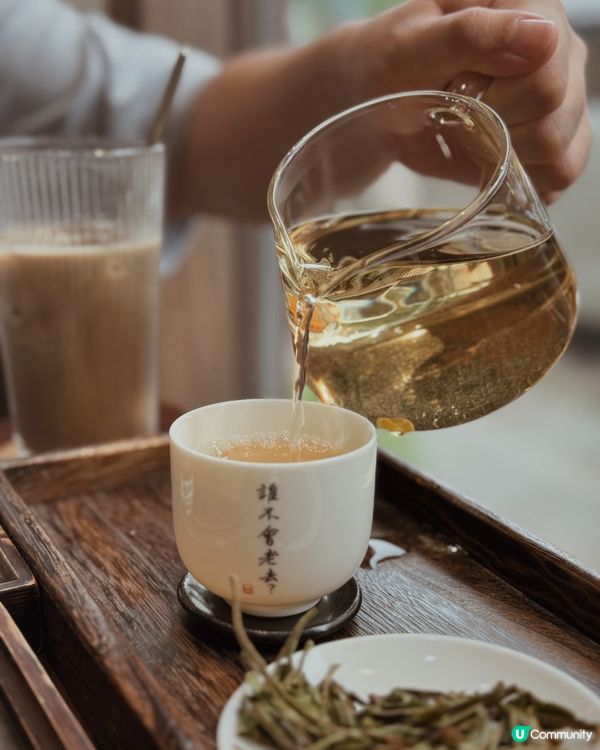 三訪 大圍品茶去｜老去茶事🫖