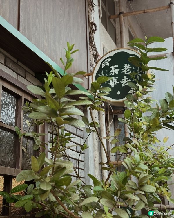 三訪 大圍品茶去｜老去茶事🫖