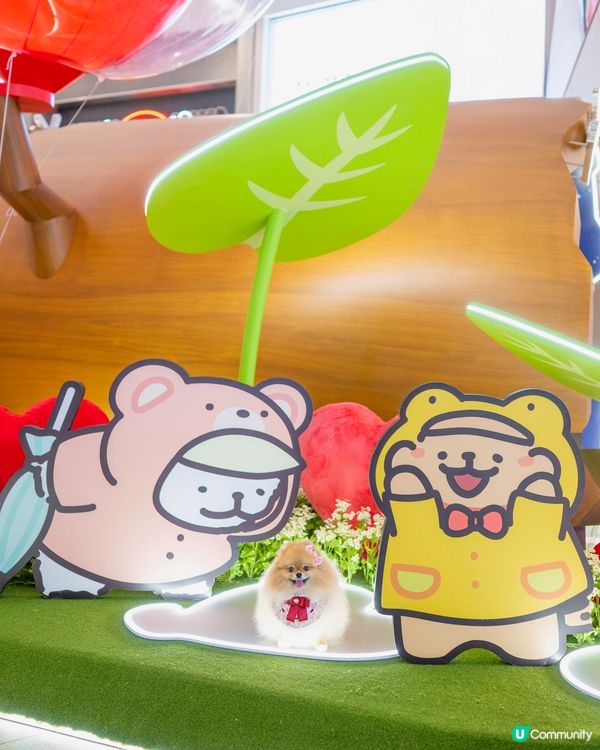 ❤️MALTESE X YOHO 夏日心友會❤️