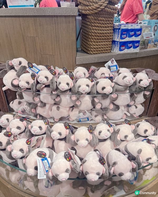 去咗海洋公園搵家姐同細佬,而家海洋公園有好多熊貓嘅周邊產品賣...