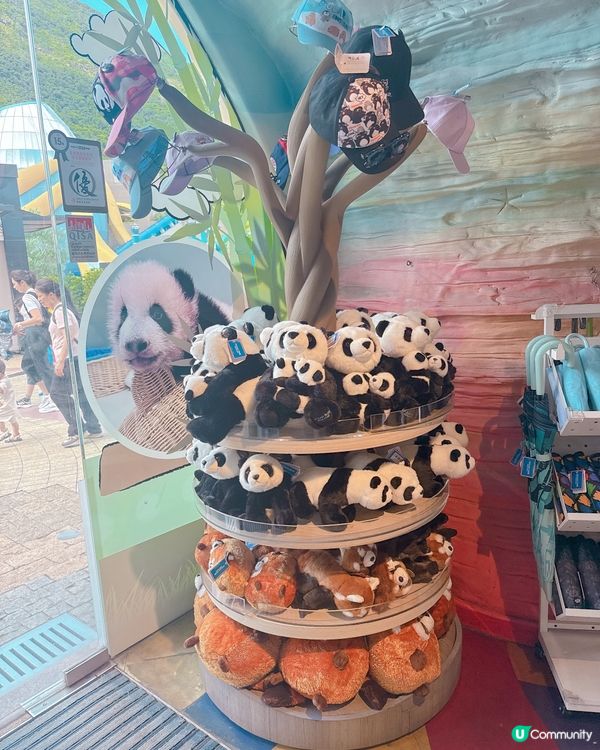去咗海洋公園搵家姐同細佬,而家海洋公園有好多熊貓嘅周邊產品賣...