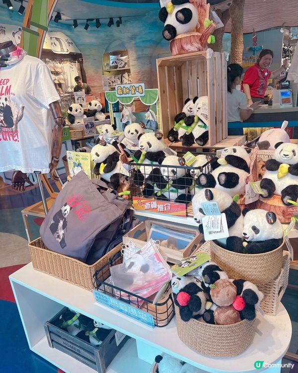 去咗海洋公園搵家姐同細佬,而家海洋公園有好多熊貓嘅周邊產品賣...