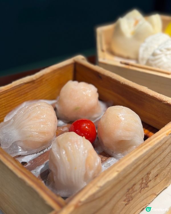 深圳歎茶新蒲點！蘩樓美味😋打卡攻略📸