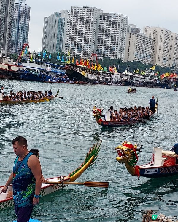 一年一次龍舟競渡