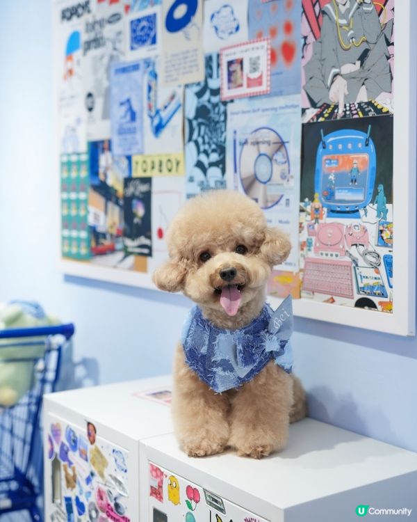 ఇ觀塘Y2K風格冬甩店🍩💙