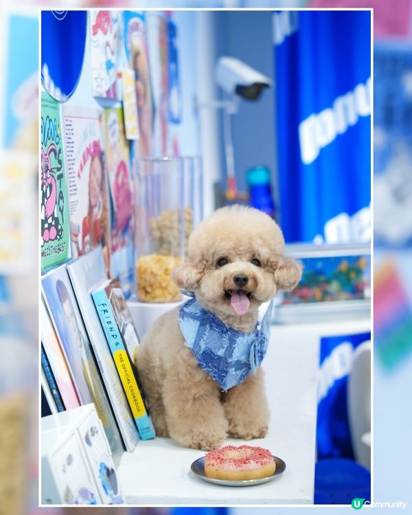 ఇ觀塘Y2K風格冬甩店🍩💙