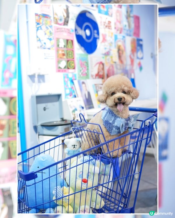 ఇ觀塘Y2K風格冬甩店🍩💙