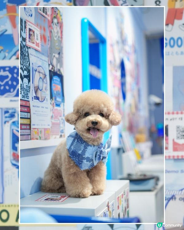 ఇ觀塘Y2K風格冬甩店🍩💙