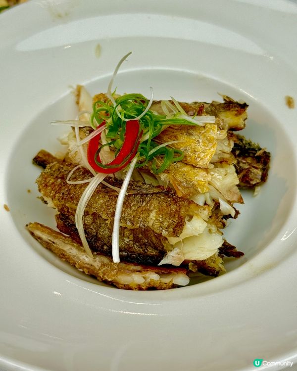 成日出去浦開嘅你，有咩可能未去過呢塊田到甫呀🤨