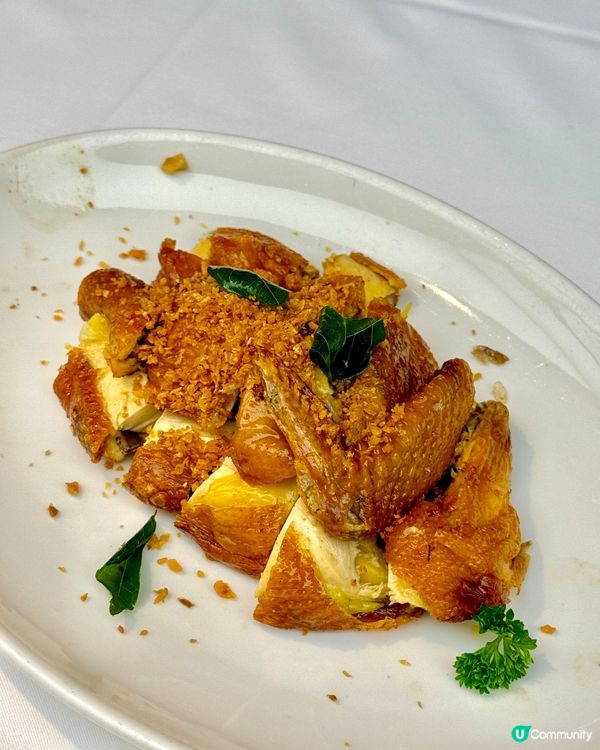 成日出去浦開嘅你，有咩可能未去過呢塊田到甫呀🤨