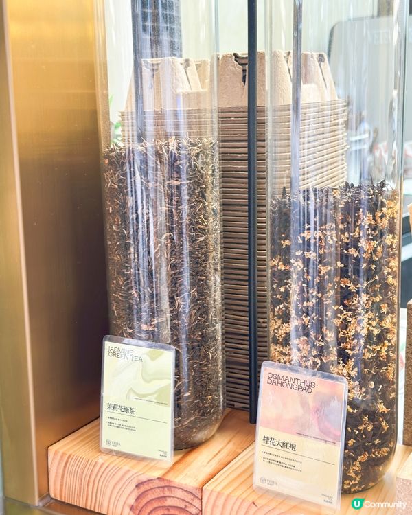 中環越茶香！🥭 勁爽生椰芒必試！🤤