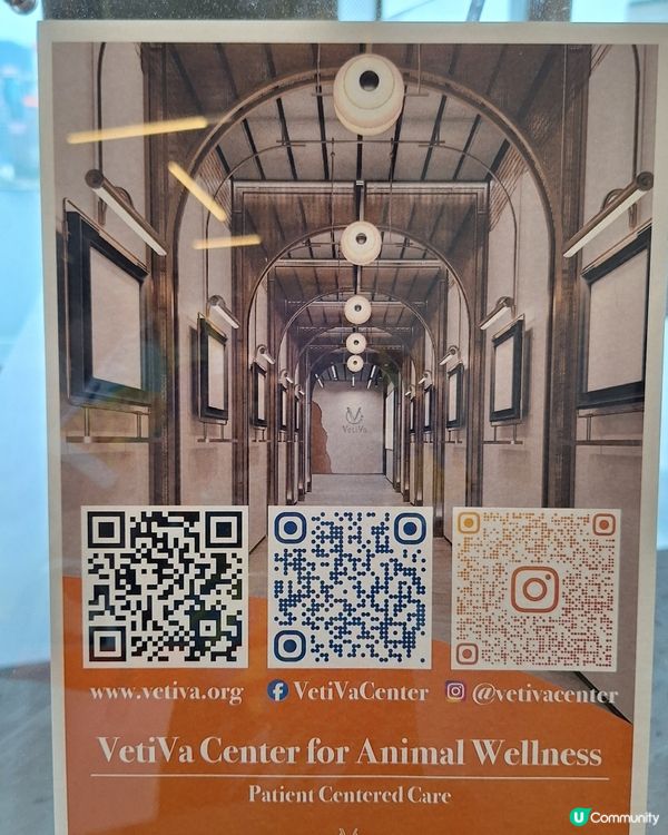 今日同薯媽慶生🥳！毛孩健康至上💪！