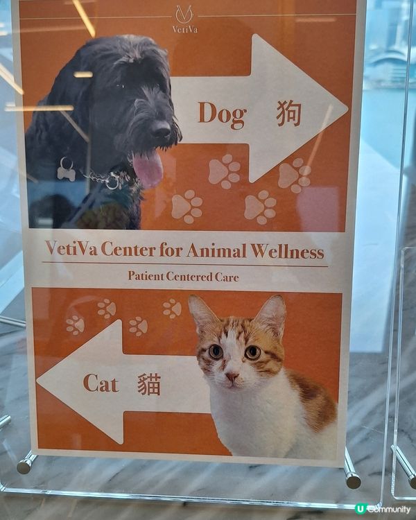 今日同薯媽慶生🥳！毛孩健康至上💪！