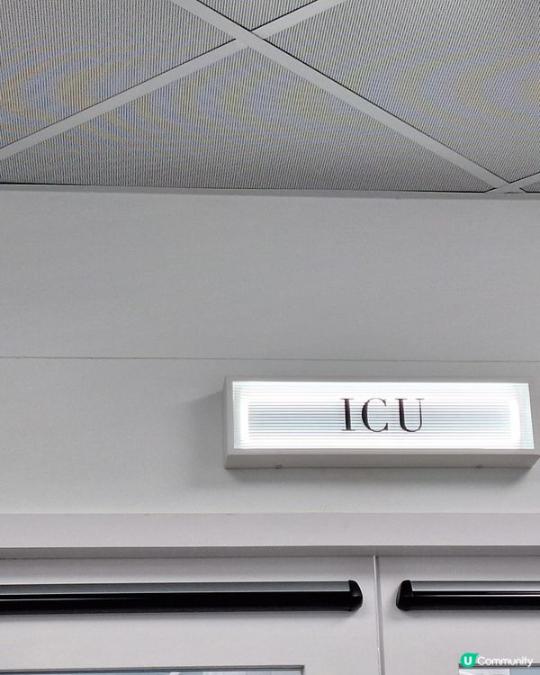 今日同薯媽慶生🥳！毛孩健康至上💪！